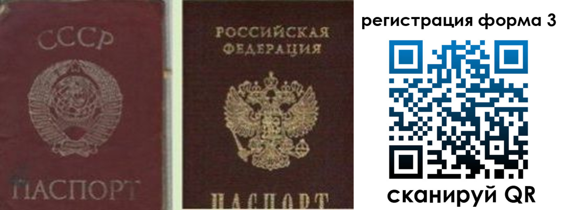 прописка для школы в Чайковском